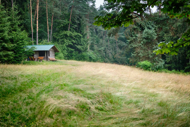 A lonely hut in an idyllic forest with benches and a meadow in the Haseltal near Bad Orb in the Spessart area in Germany