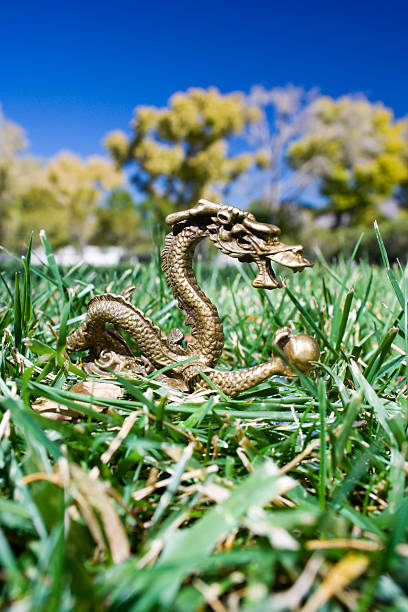 istock Chinese Zodiac Dragon in a Grassy Field 121681330
