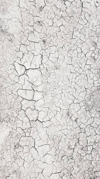 istock Dry mud cracked ground texture. Drought season background 1216813858