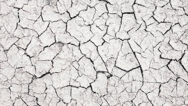 istock Dry mud cracked ground texture. Drought season background 1216813860