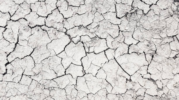 istock Dry mud cracked ground texture. Drought season background 1216813866