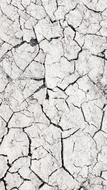 istock Dry mud cracked ground texture. Drought season background 1216813867