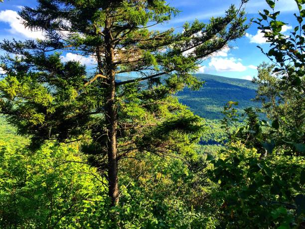 istock Countryside of Quebec 1216813882