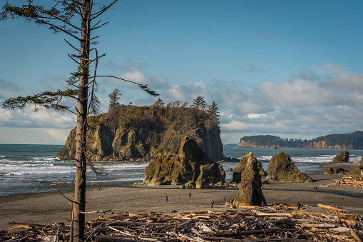 View of the beach from the cliff. Beautiful blue sea. Ruby Beach, Olympic National Park, Washington state, USA