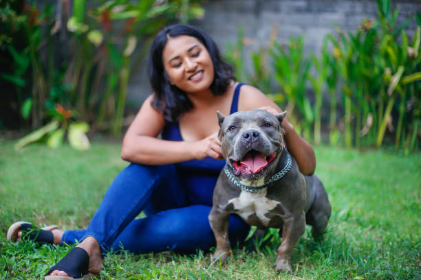 코로나 바이러스 잠금 가운데 뒤뜰에서 그녀의 개와 ��함께 노는 아시아 애완 동물 주인 - american bulldog 뉴스 사진 이미지