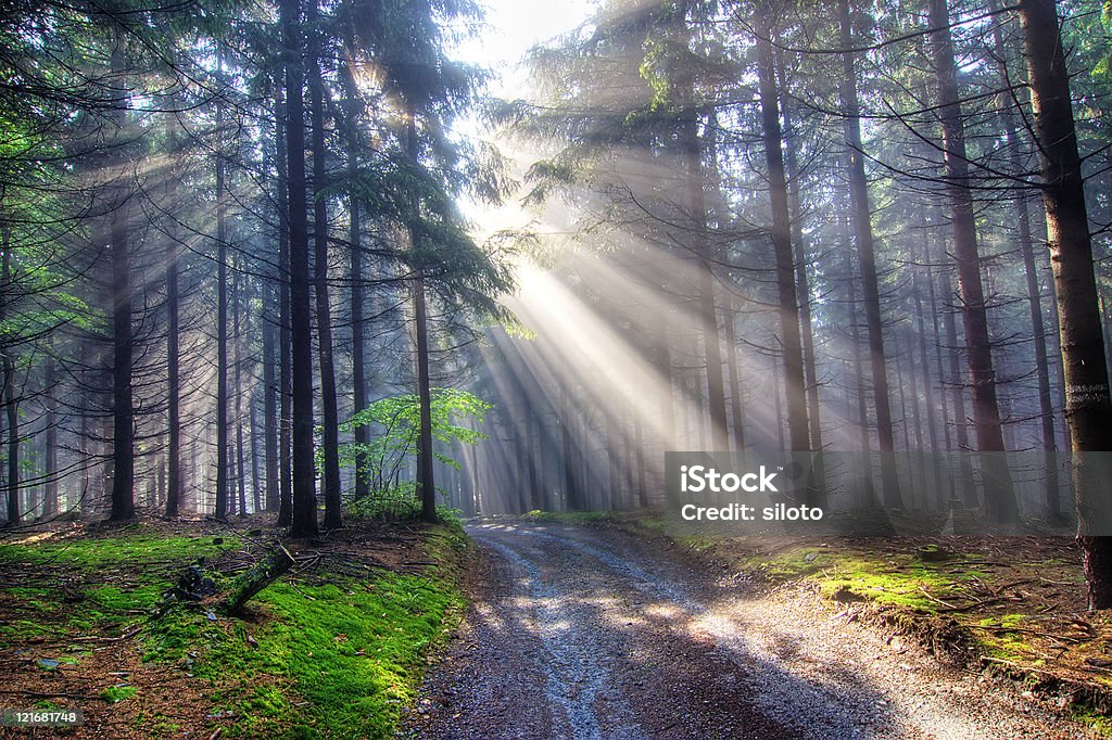 Gift of Light - God beams  Autumn Stock Photo