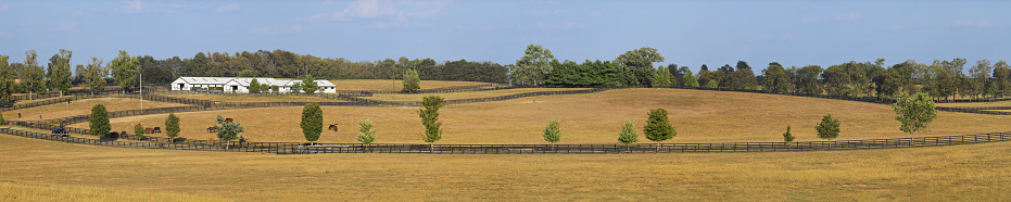 Lexington, Kentucky, USA - October 1, 2019: Kentucky rural scene panorama. The countryside surrounding the city of Lexington is known as the Bluegrass region of Kentucky - characterized by its rolling hills, fertile soil and horse farms. The region has been a center for breeding thoroughbred race horses since the 1800’s.