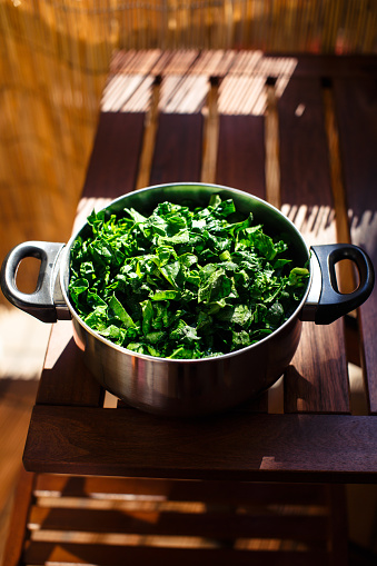 Fresh organic spinach leaves in a stainless pan placed on a wooden table.