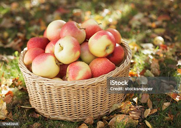 Apples Stock Photo - Download Image Now - Apple - Fruit, Autumn, Basket