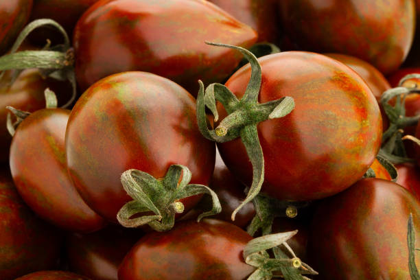 istock kumato plum tomato 1216827889