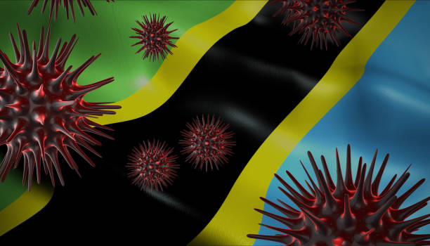 istock Corona Virus Outbreak with Tanzania Flag Coronavirus Concept 1216830559