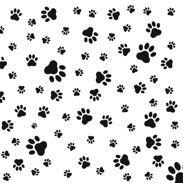 illustrazioni stock, clip art, cartoni animati e icone di tendenza di illustrazione vettoriale dell'icona del logo senza cuciture paw print - clip path