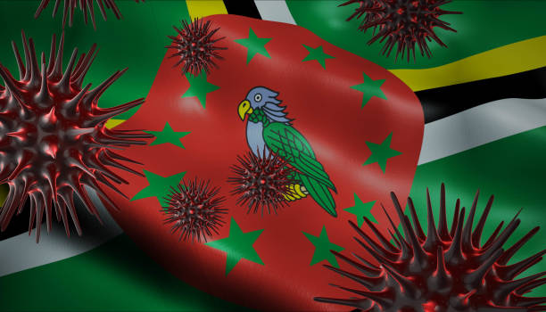 istock Corona Virus Outbreak with Dominica Flag Coronavirus Concept 1216832051