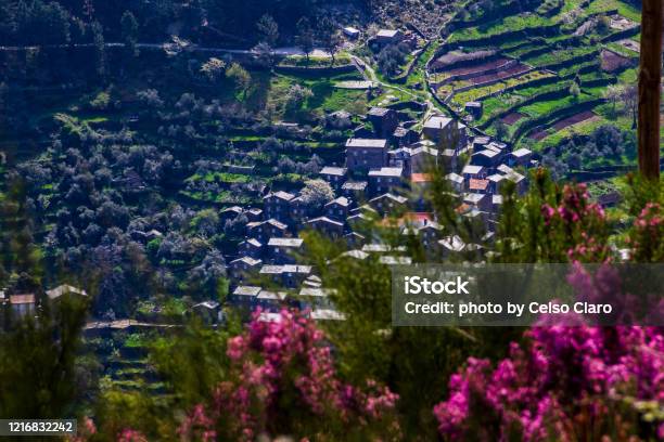 Schist Village Of Piódão Portugal Stock Photo - Download Image Now - Blue, Day, Flower