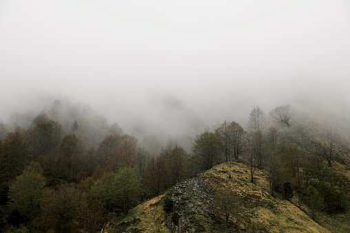 Fog in Lescun Valley, Pyrenees in France.