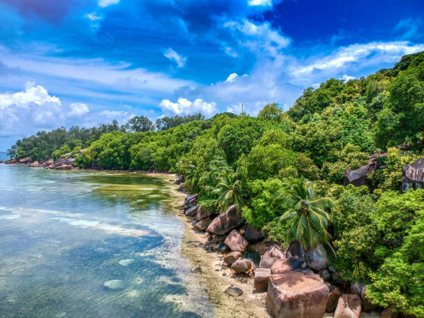 istock Beautiful Beach at the Seychelles by Drone 1216834409