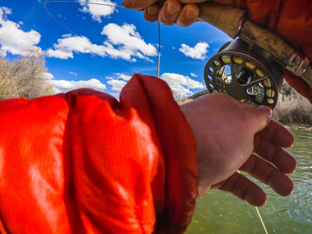 istock Man Outdoors Fly Fishing for Trout 1216835269