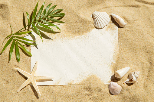 Blank note with the sea shells and the palm leaves on sand