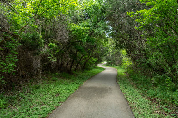 istock View of Concrete Path Through Desne Tree Park During the Daytime 1216840330