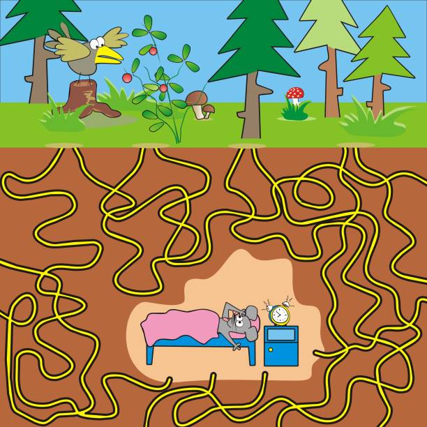 Mouse Labyrinth 570+ Mouse Maze Stock Photos, Pictures & Royalty-Free Images - iStock