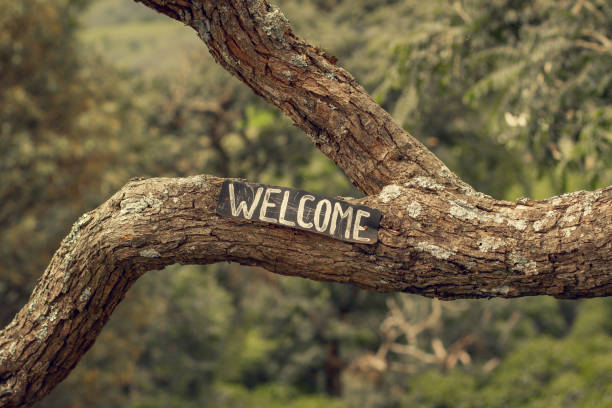 istock Branch with a welcome sign in Brazil. 1216840584