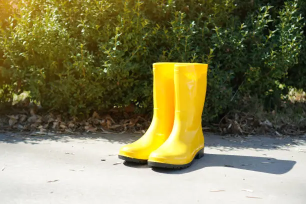 Yellow rain boots at the house yard.