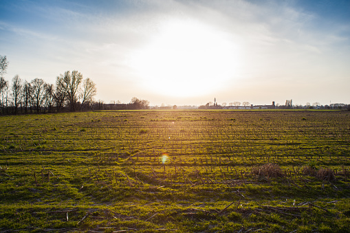 Field in the Po Valley at sunset