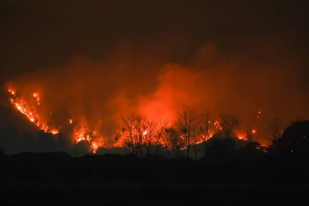 istock Forest Fire at Night.Wildfire burning forest trees in the mountain.Wildfire caused by humans. 1216840907