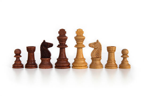 istock Wooden chess pieces aligned isolated on white 1216841870
