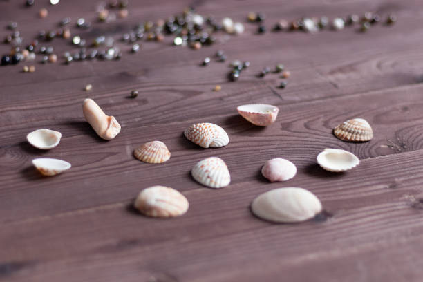 istock natural sea shells and stone gem beads on brown wooden  background 1216841922