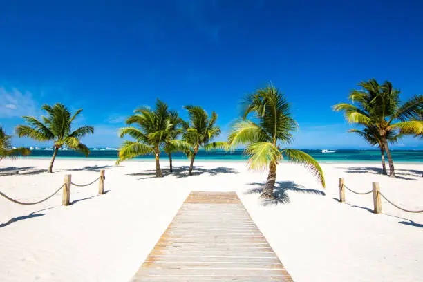 Beautiful tropical white sand beach on a paradise island. Holidays by the ocean, sunny tan and calm. Punta Cana