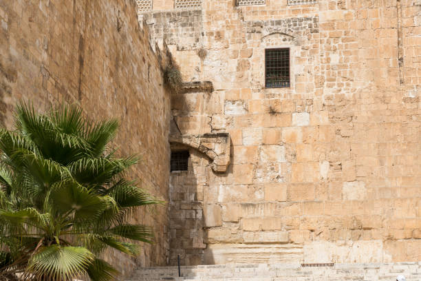 istock At The Davidson Center in Jerusalem, Israel 1216844257