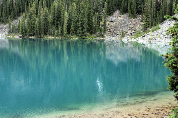 istock Reflections Of Mountains On The Calm Lake O'Hara Yoho National Park 1216845310