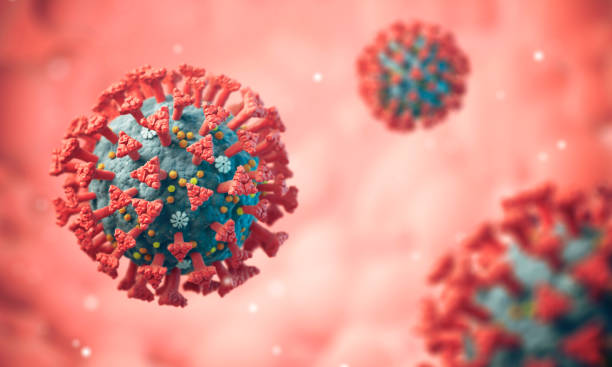 istock COVID-19 Coronavirus Infections 1216845540