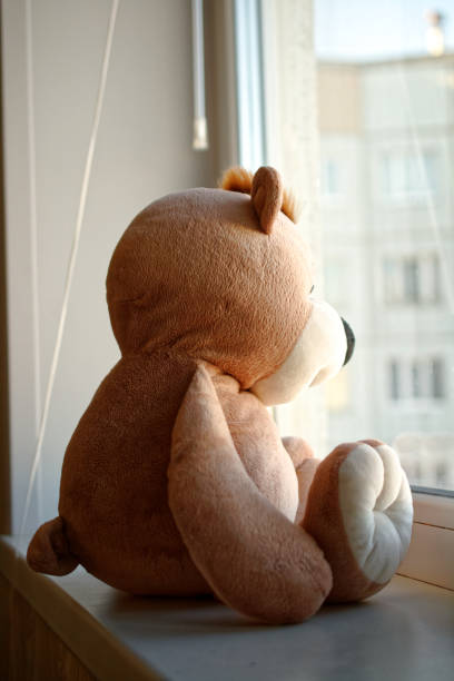 istock a teddy bear sits on a window sill and looks out the window. 1216849112