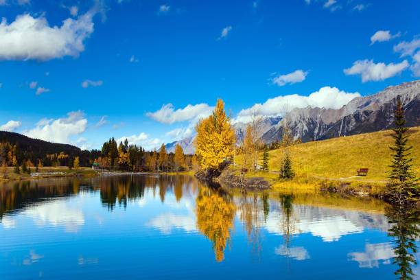 istock Lush autumn in the Rockies 1216849587