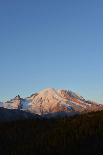 istock Mt Rainier, Washington state, USA 1216851256