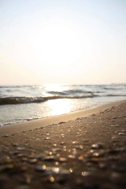 istock seashore in the rays of the setting sun background 1216851893