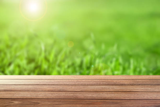 istock wooden table and green spring theme background with sun 1216851947