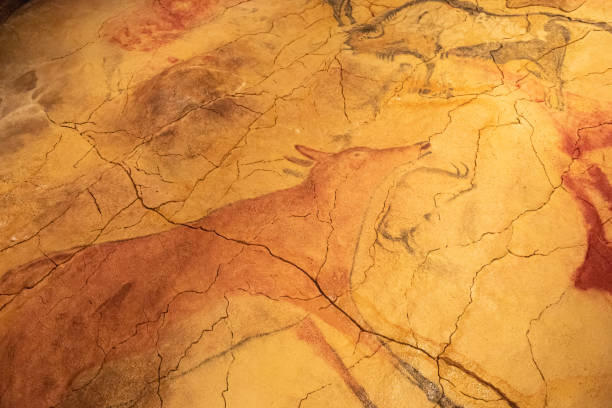 las cuevas de altamira. arte rupestre español. es la mayor representación de la pintura rupestre en españa - cueva de altamira fotografías e imágenes de stock