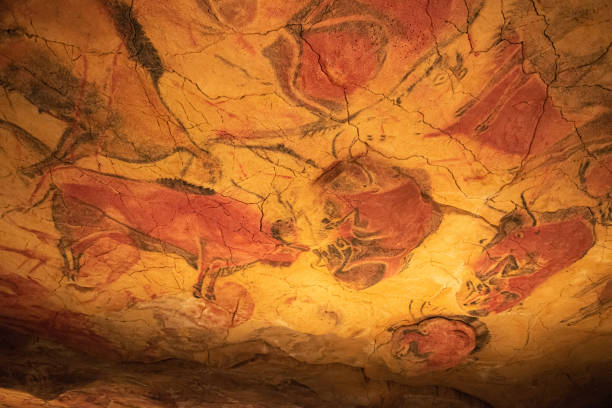 las cuevas de altamira. arte rupestre español. es la mayor representación de la pintura rupestre en españa - cueva de altamira fotografías e imágenes de stock