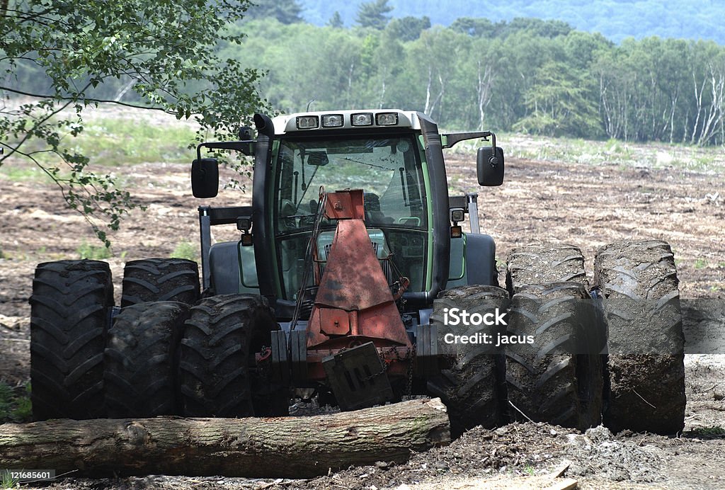 Dez roda do trator - Foto de stock de Agricultura royalty-free