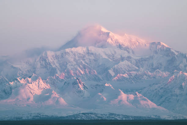 Morning Light on Mt. Denali in Denali National Park Winter morning sunrise looking over Mt Denali in Denali National Park denali mountain stock pictures, royalty-free photos & images