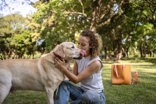 istock My pet is my best friend 1216858456