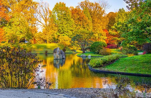 Autumn trees with reflection in the water