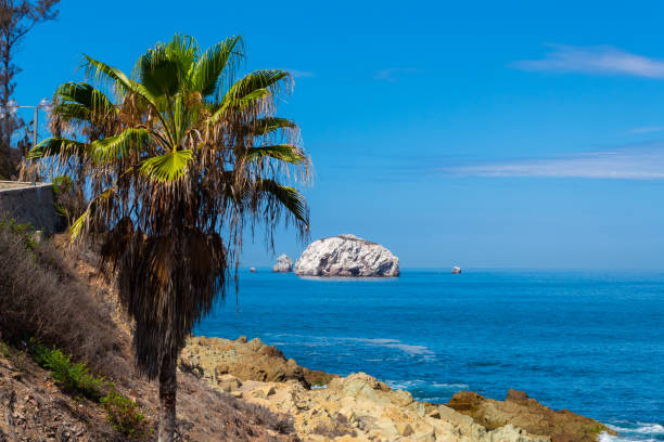 istock Mazatlan mexican beach paradise for tourism 1216865027