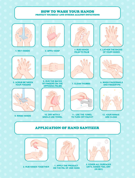 illustrazioni stock, clip art, cartoni animati e icone di tendenza di grafico dell'igiene personale che mostra il lavaggio delle mani - antibacterial washing hands washing hygiene