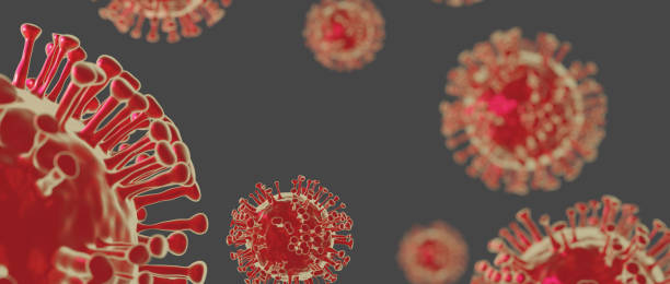 istock Corona Virus In grayBackground - Microbiology And Virology Concept 1216866499
