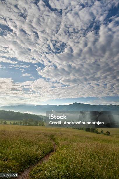 Rano W Cove - zdjęcia stockowe i więcej obrazów Appalachy - Appalachy, Bez ludzi, Brzask