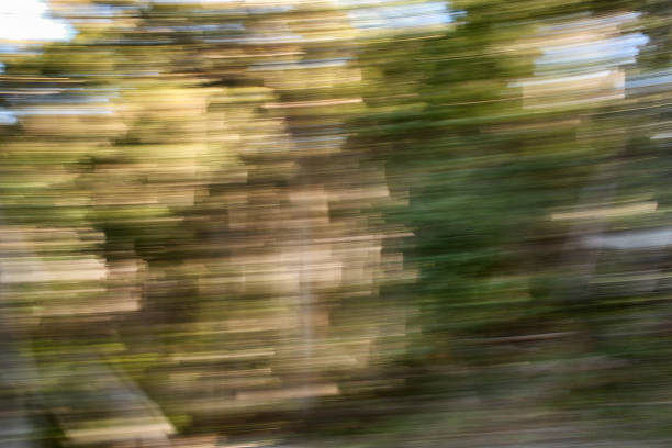 istock Motion blur photograph of forest 1216871359